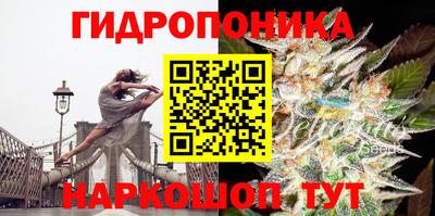 марки lsd Дубна