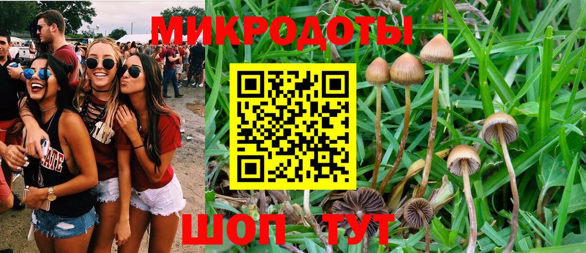 Галлюциногенные грибы MAGIC MUSHROOMS Касимов