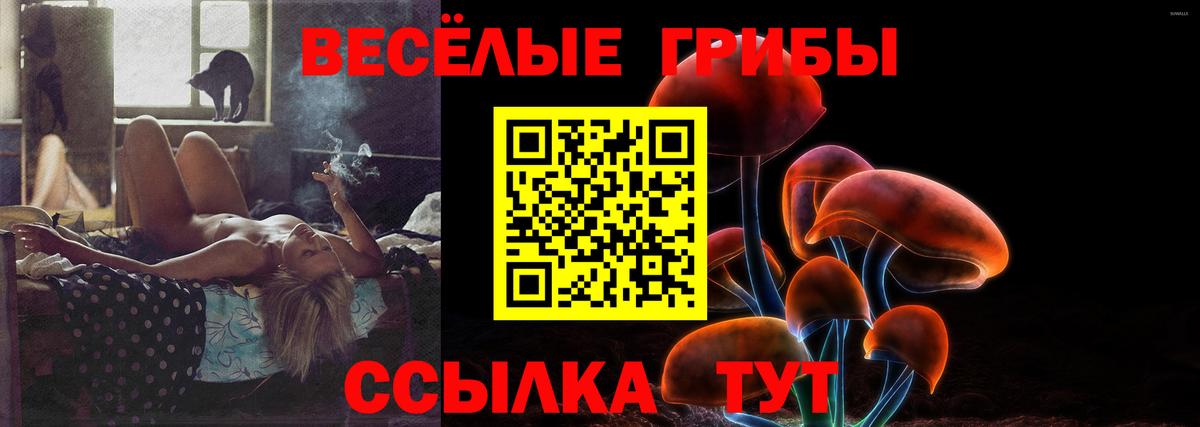 Галлюциногенные грибы ЛСД  Вход с VPN  Галлюциногенные грибы Psilocybe  Касимов 